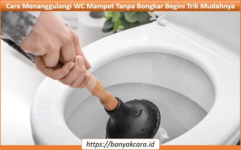 Cara Menanggulangi WC Mampet