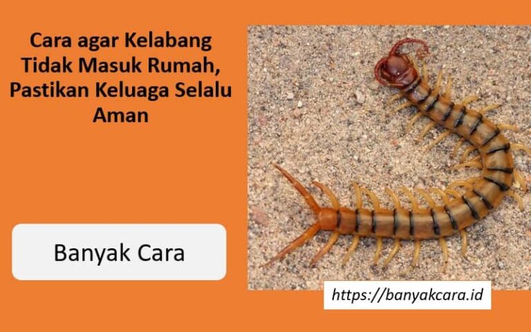 ara agar kelabang tidak masuk rumah