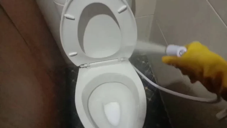 Cara Menggunakan Soda Api untuk WC Mampet Tanpa Ribet! Cara Menggunakan Soda Api untuk WC Mampet Tanpa Ribet!