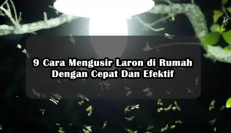 9 Cara Mengusir Laron di Rumah Dengan Cepat Dan Efektif 9 Cara Mengusir Laron di Rumah Dengan Cepat Dan Efektif