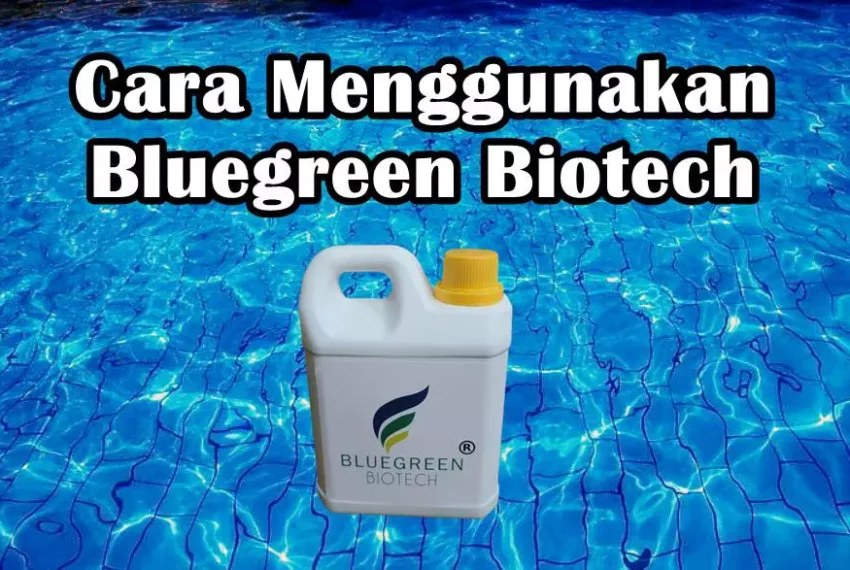 Cara Menggunakan Bluegreen Biotech Untuk Kolam Ikan Lele dan KOI