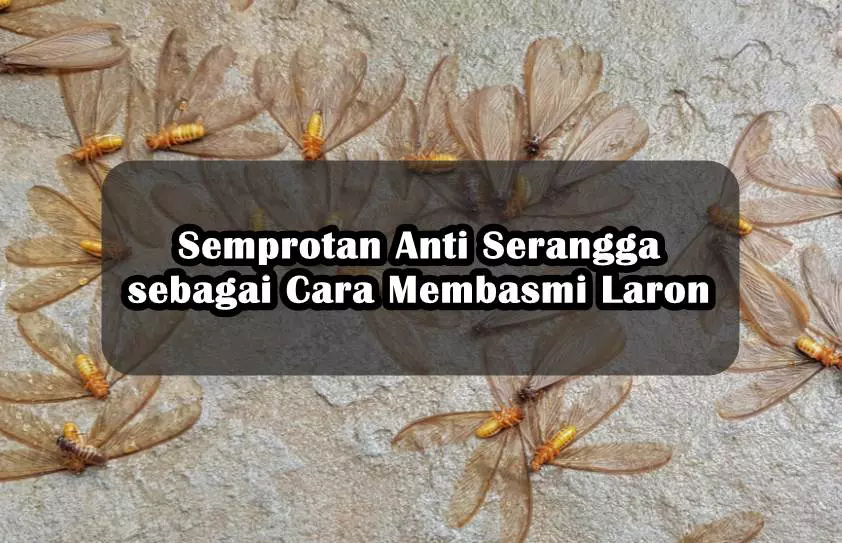 Penggunaan Semprotan Anti Serangga sebagai Cara Membasmi Laron