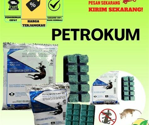 Panduan Lengkap Cara Menggunakan Racun Tikus Petrokum Agar Rumah Bebas Hama