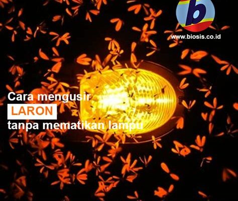Cara Mengusir Laron Selain Mematikan Lampu Agar Tetap Nyaman Dengar Musik